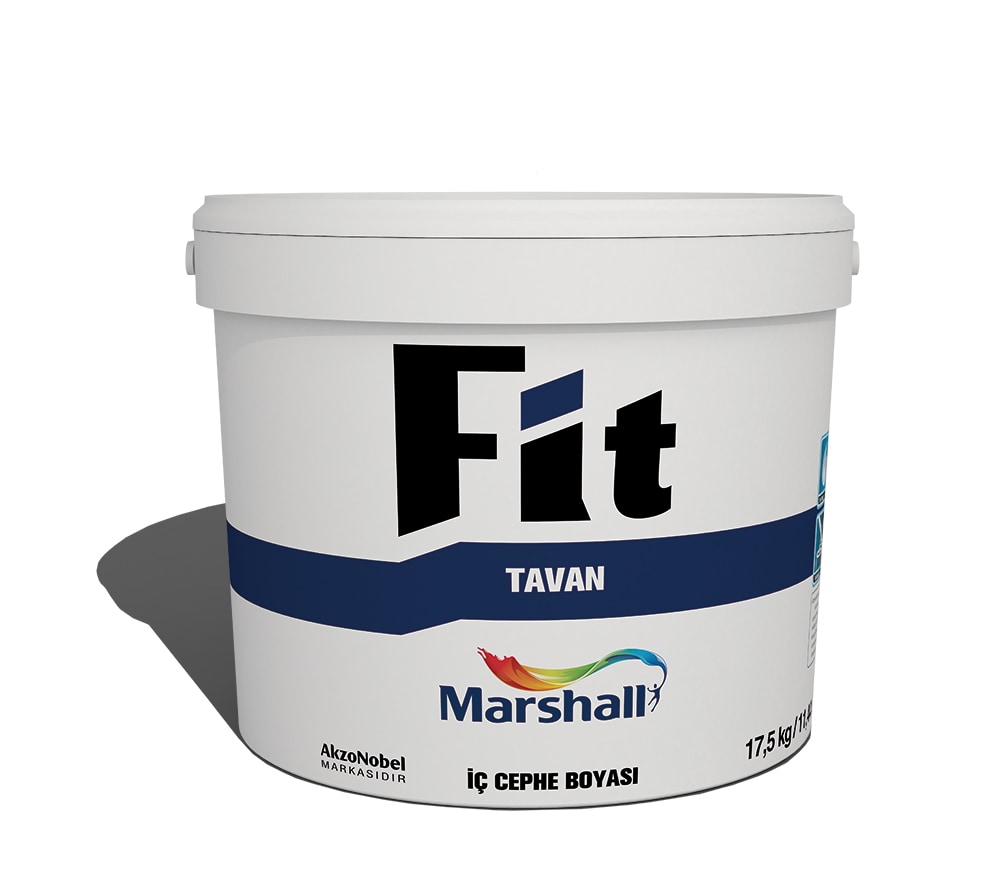 Fit Extra Ceiling Paint