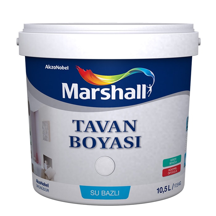 Ceiling Paint
