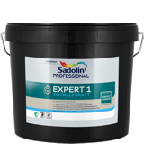 EXPERT 1