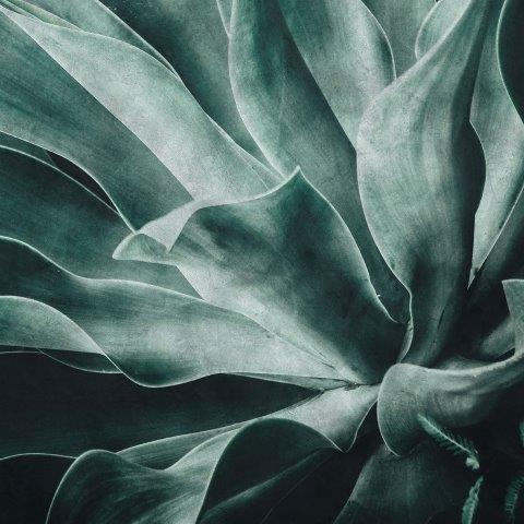 Galerie Exposed - Large Green Leaves Panel Wallpaper