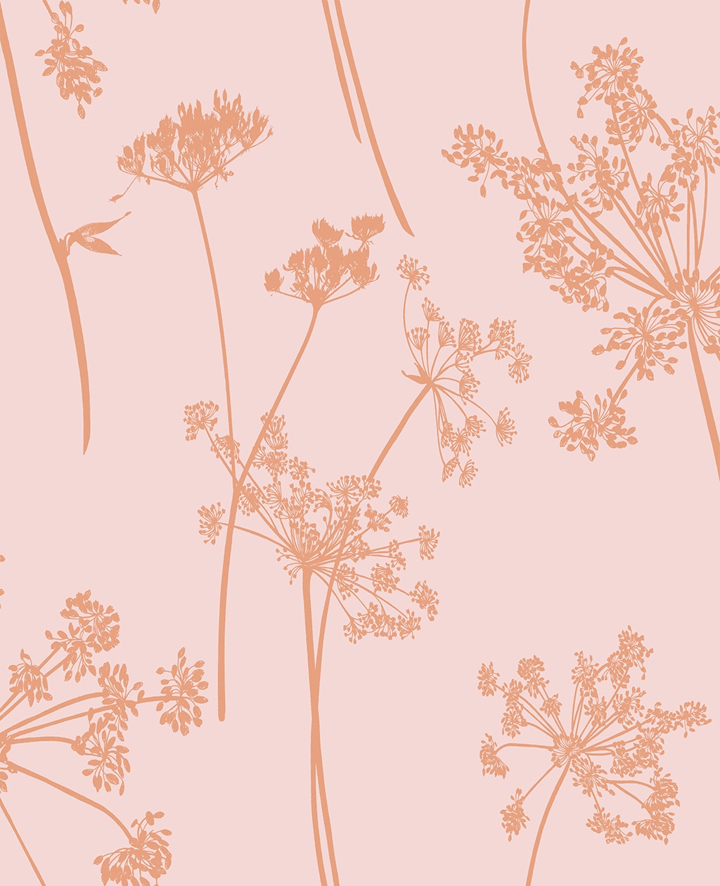 Graham & Brown Anthriscus