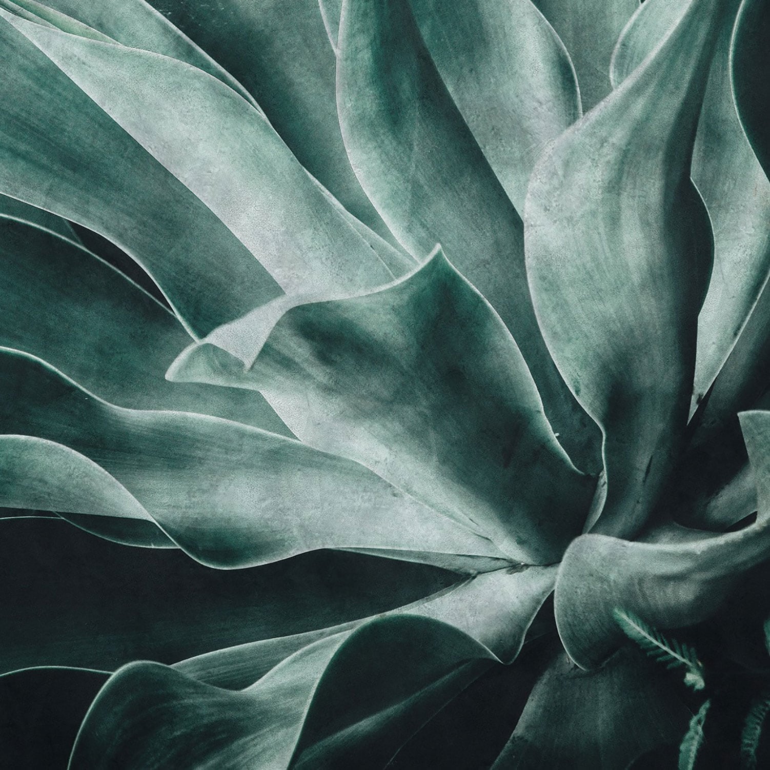 Galerie Exposed - Large Green Leaves Panel Wallpaper