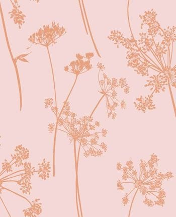 Graham & Brown Anthriscus