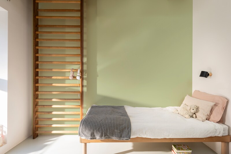 Paintex Star Semi-Plastic Emulsion