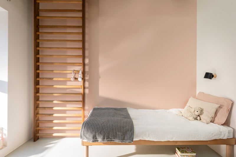 Paintex Star Semi-Plastic Emulsion