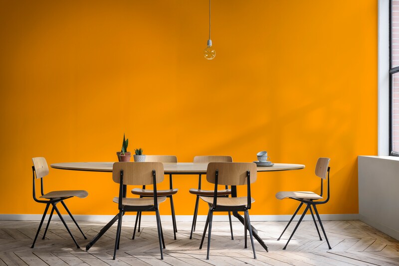 Coralit Total Brilhante