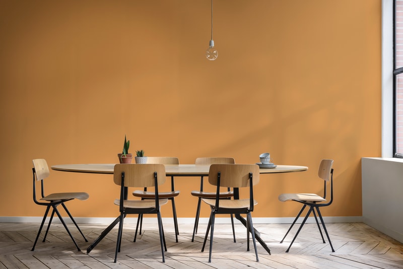 Decora Matte - Extra Fosco