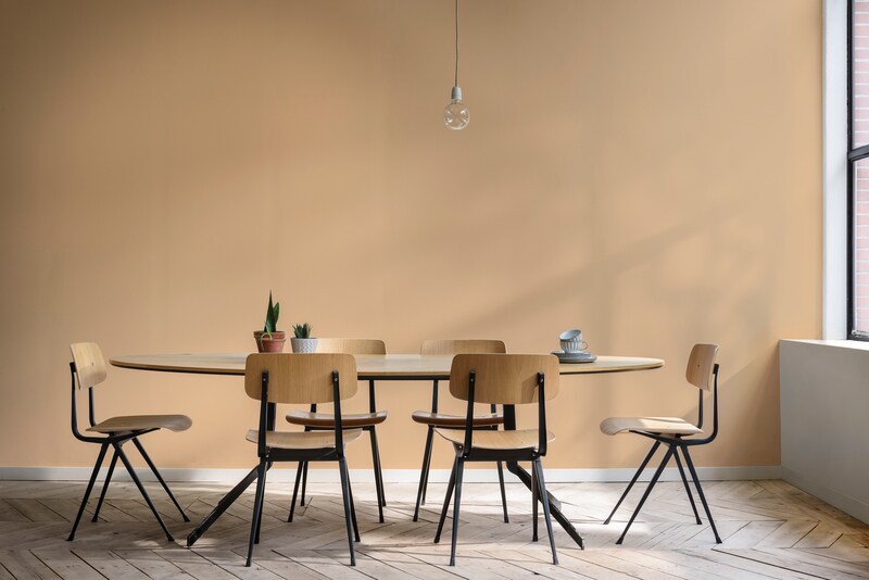 Dulux Promise Gloss Enamel