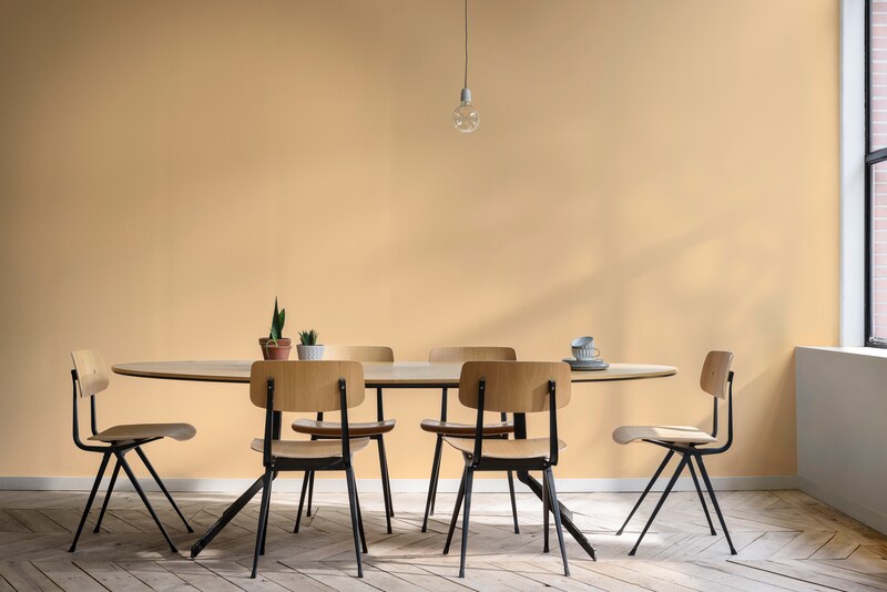 Dulux Promise Gloss Enamel