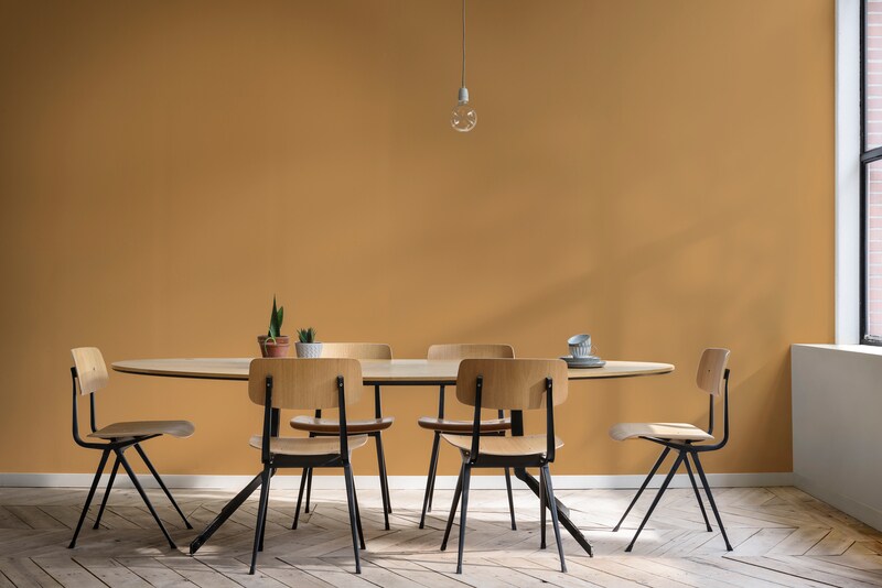 Dulux Promise Interior Emulsion