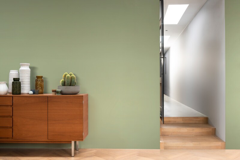 Paintex Star Semi-Plastic Emulsion