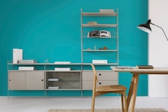 Dulux Catylac Interior