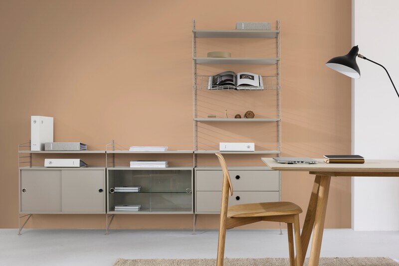 Paintex Star Semi-Plastic Emulsion