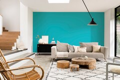 Dulux Catylac Interior