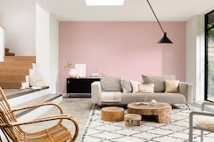 Dulux Catylac Interior