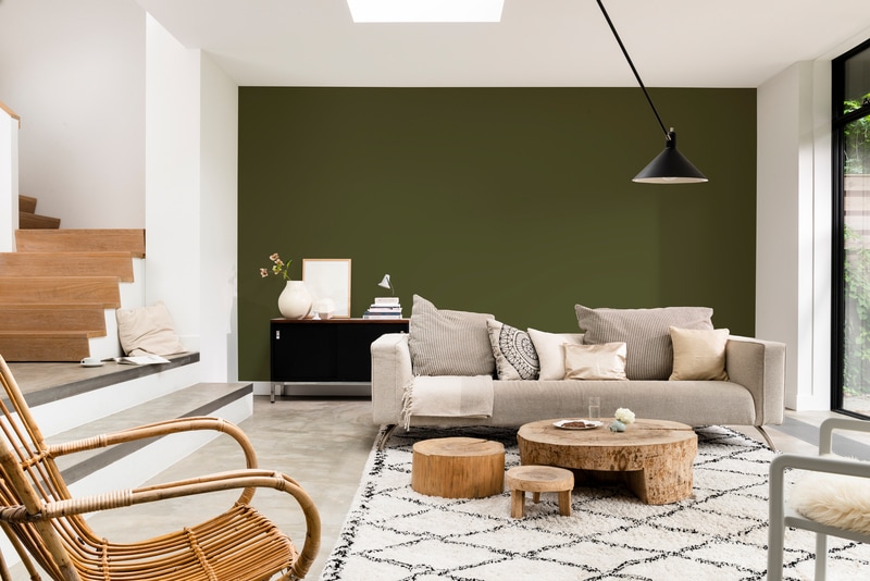 Dulux Paint Mixing Matt