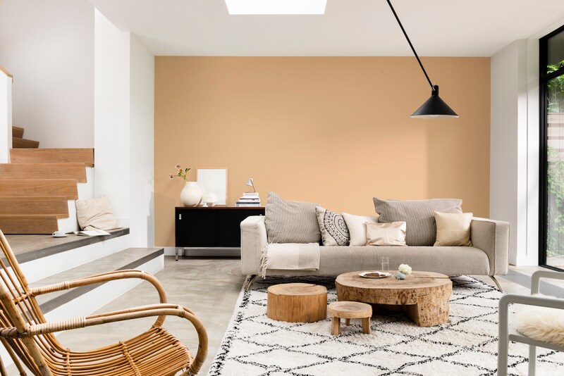 Dulux Promise Gloss Enamel