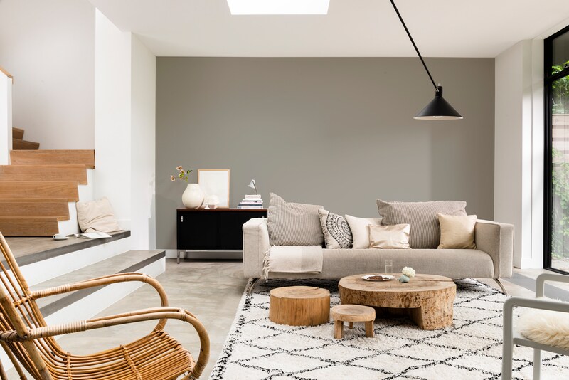 Paintex Star Semi-Plastic Emulsion