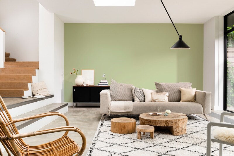 Paintex Star Semi-Plastic Emulsion